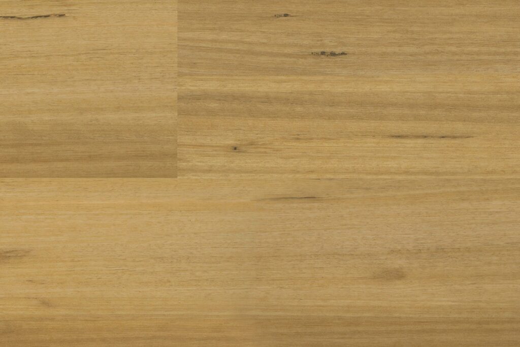 GWCD2ehVZ6rIBMhQIT3c_Blackbutt-1-1024x683